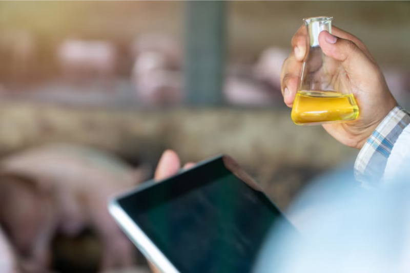 Óleo Solúvel Biodegradável: Benefícios e Aplicações Práticas Óleo Solúvel Biodegradável: Benefícios e Aplicações Práticas